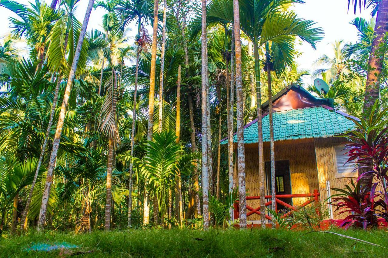 Maitreya Beach Resort Diveagar Bagian luar foto