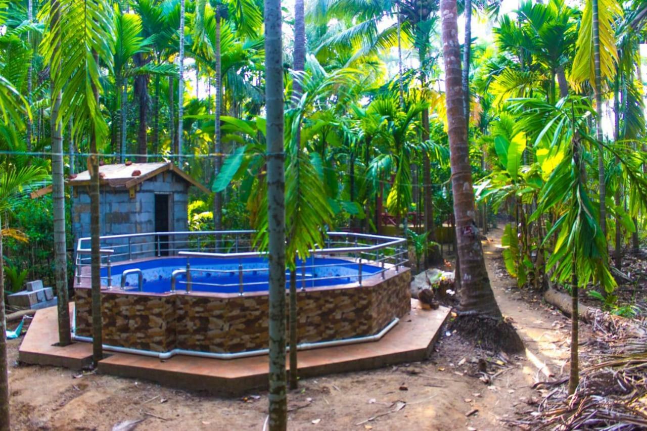 Maitreya Beach Resort Diveagar Bagian luar foto